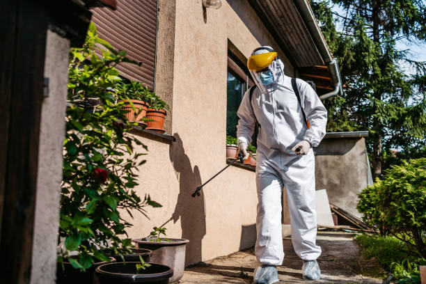 Best Pest Removal Services  in Spring Hill, TN