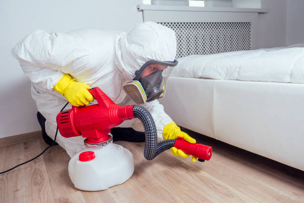 Best Pest Control Near Me in Spring Hill, TN