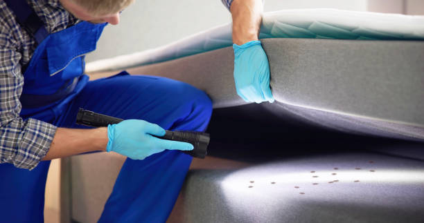 Best Commercial Pest Control Services  in Spring Hill, TN