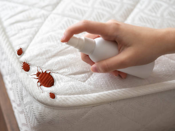  Spring Hill, TN Pest Control Pros