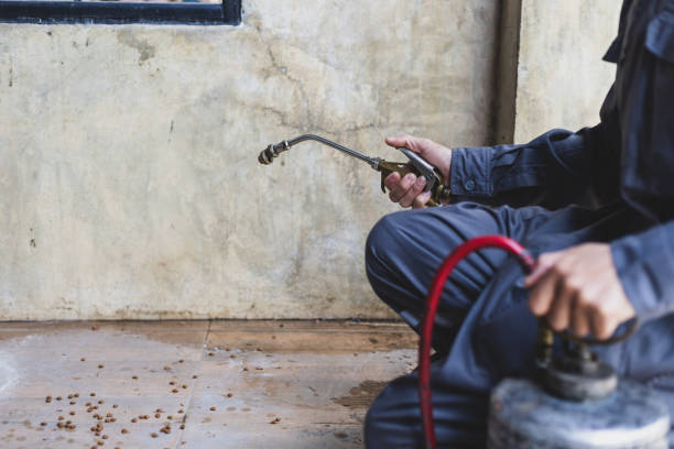 Best Mosquito Control Services  in Spring Hill, TN